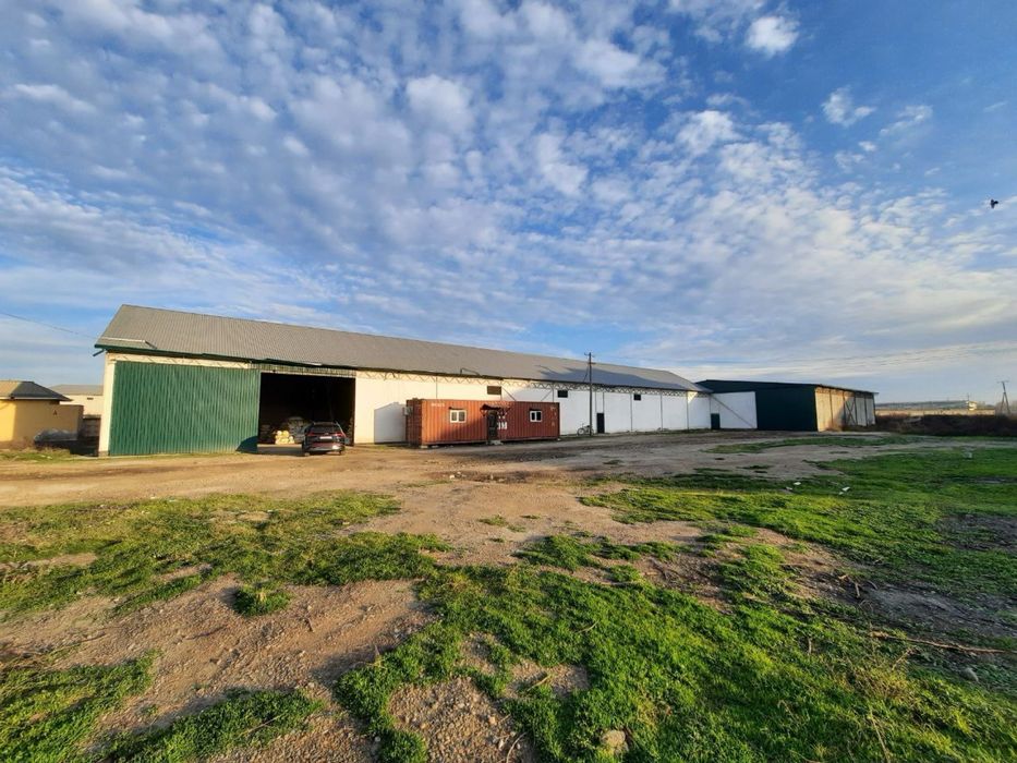 Продажа коммерческой недвижимости, завод по переработке бобовых