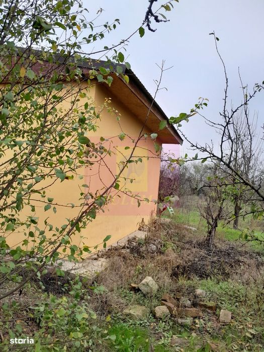 Barcanesti (Il) - Se Vinde Casa + Teren 16K Mp