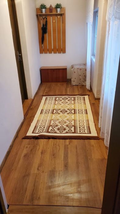 Casă și teren de vânzare în județul Iași - More