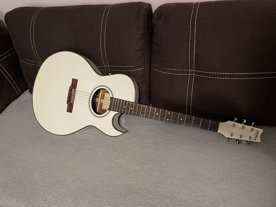 Гитара Washburn EA-20 WH
