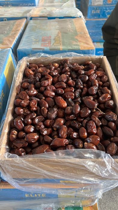 Құрма,  финики,  курма