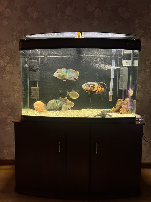 Продам аквариум в сборе с тумбой