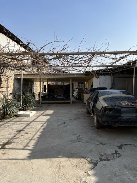 Участка, кибрай, дормон