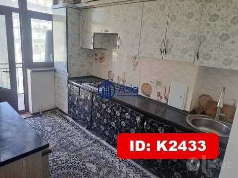 Arzon narxda ijaraga beriladi K2433 1xonalik beriladi