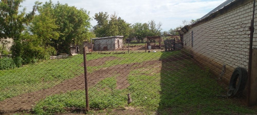 Тез арада Үй сатылады.