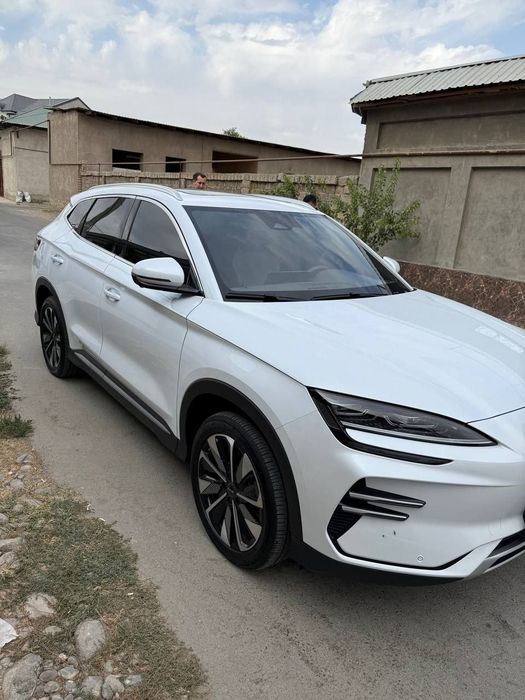 Byd chempion Restailing 2024