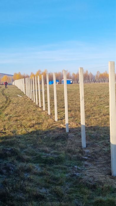 Stalpi din beton /spalieri vie /