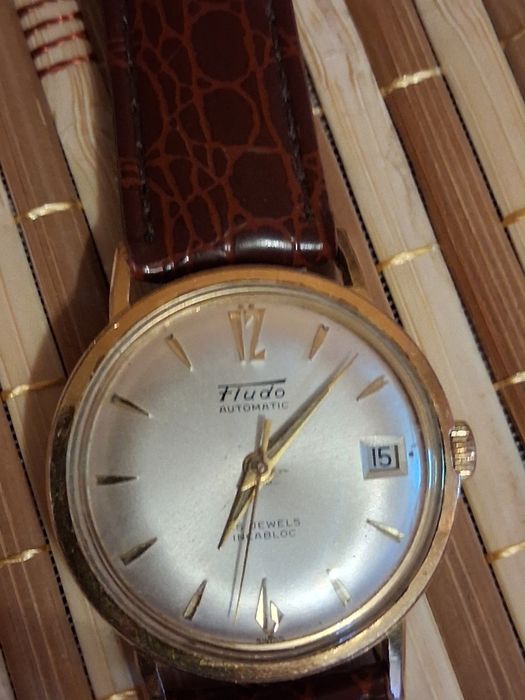 Vînd Fludo,Luga,Delbana