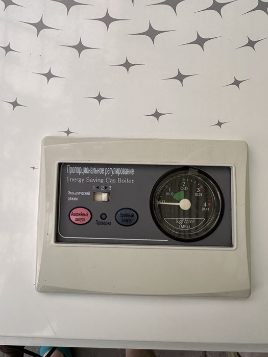 Газовый котел LOTTE F166