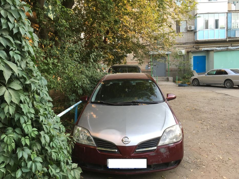 Nissan primera p12 2003 год