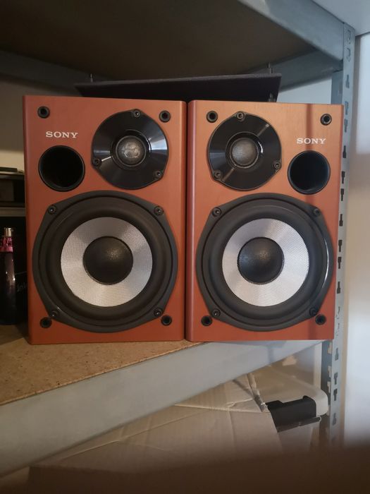 Boxe de raft Sony SS CCPZ1