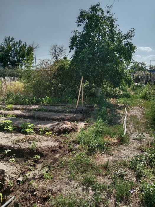 всем доброго времени суток