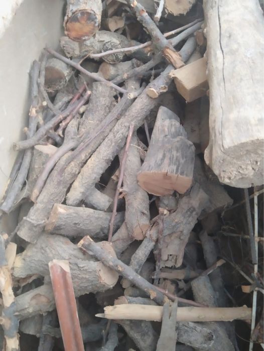 Ағаштар жаңа кесілген отын……….