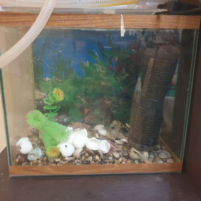 Продам заводской аквариум
