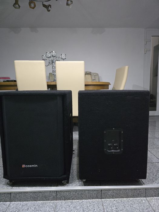 Bași 15 inch 600 RMS bucata.