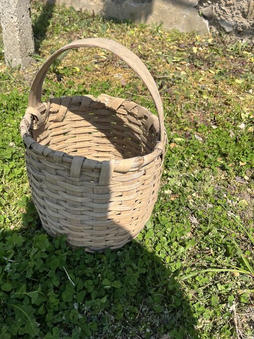 Стара Кошница два броя