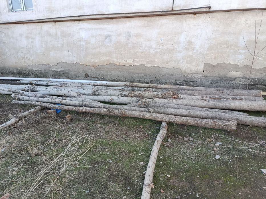 Тераклар ва утинлар сотилади.
Шахсий ховлида турибди.