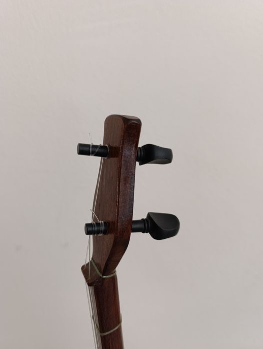 Профессиональная Домбыра