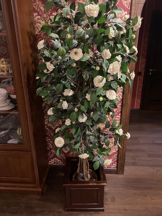 Декоративное дерево