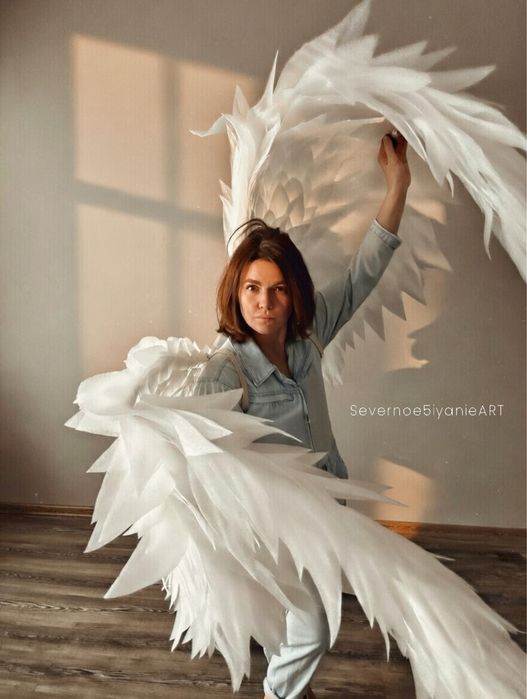 Крылья «Валькирия» аренда