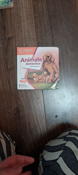 Raspundel istetel + 2 carti