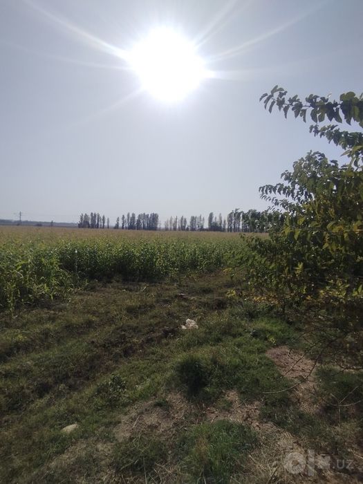 Макка жухори Селос
