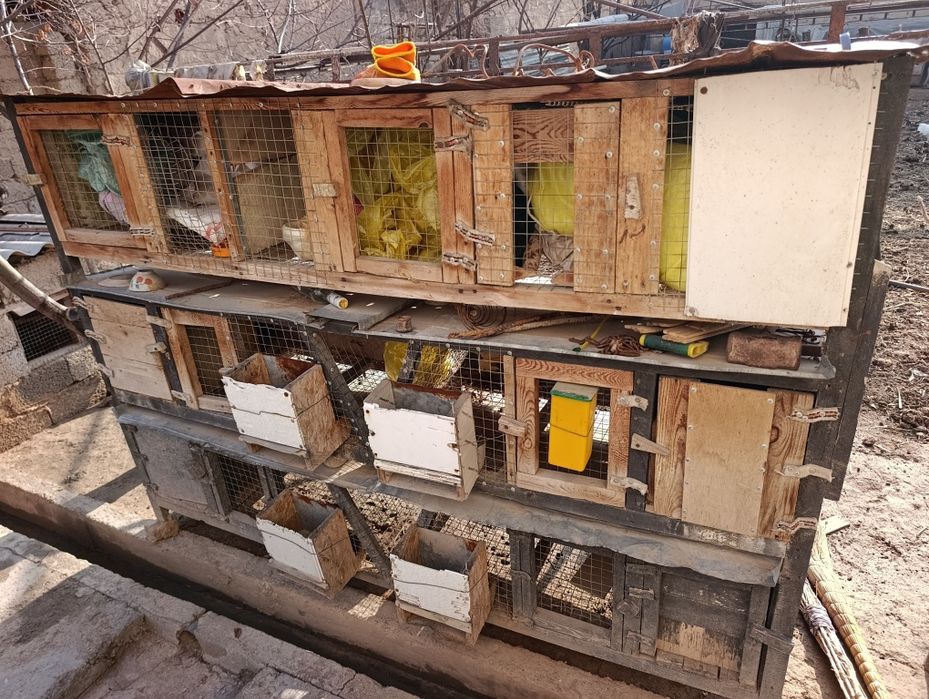 Куйонга ин 3 каватли