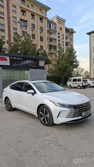 Byd Chazor full 1200