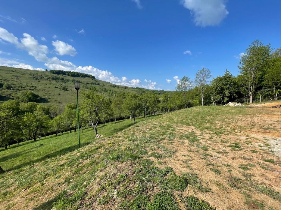 Casă, livada și pădure în com Bătrâna judetul Hunedoara ținutul pădurenilor.