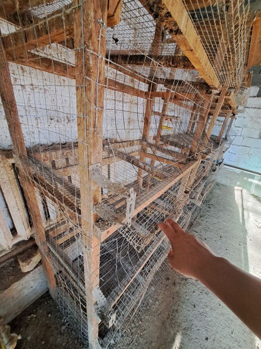 Тауыққа сетка бар сатылатын