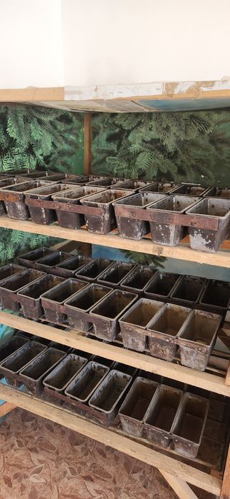 Srochno sotiladi Buxanka sex