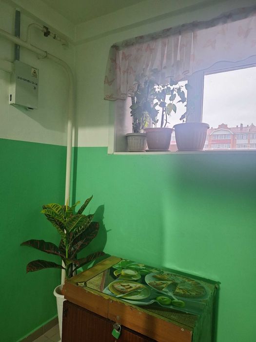 продам 1 ком Береке