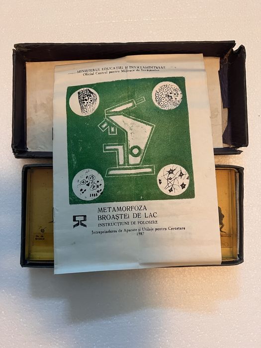 Incluziune in masa plastica: “Metamorfoza broastei de lac”