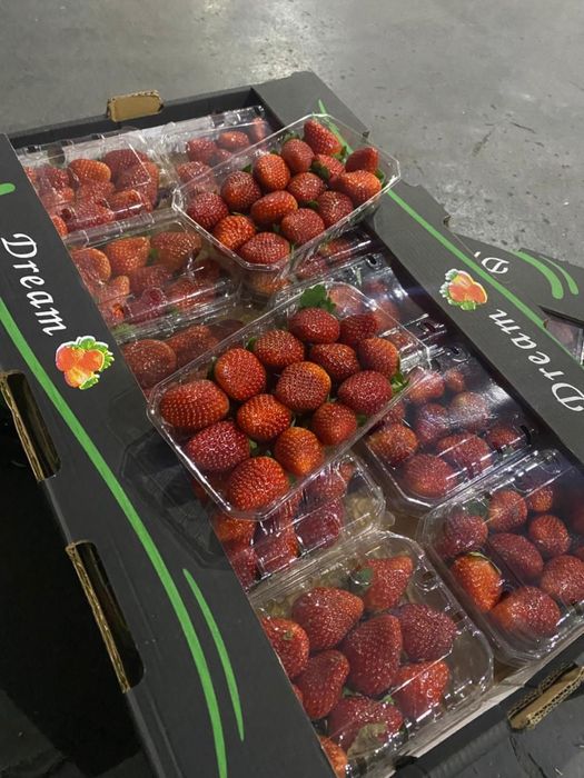 Клубника Египетская