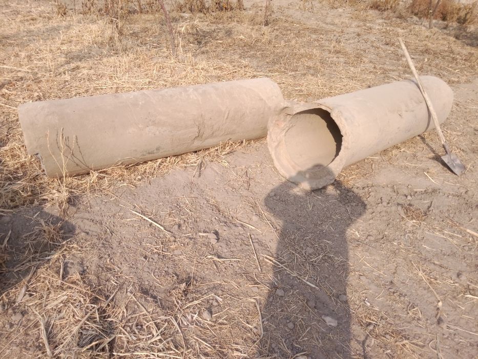 Begovot sobgʻoʻz da bu