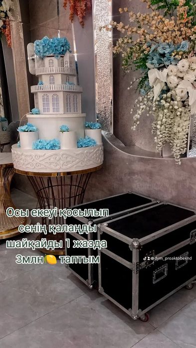 Шоу торт+тяжелый дым в комплекте