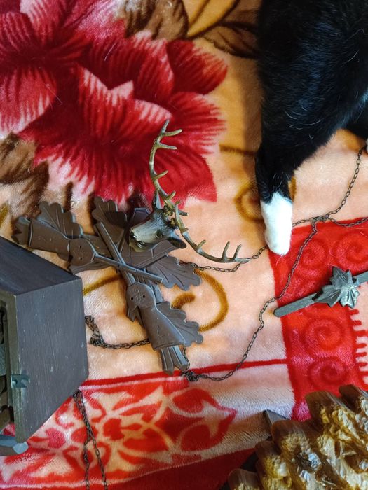 Часовници стенни и ръчни