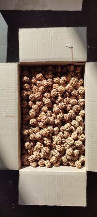 Ёнгок магзи сотилади.Гречские орехи очишанные оптом.95000 сум