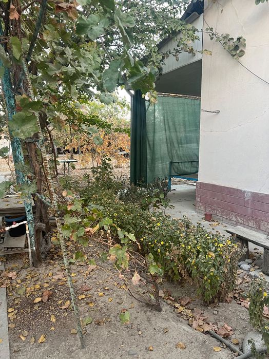 Dacha sotiladi Yuqorichirchiqda Saksonota mahalasi 4.2 sotix