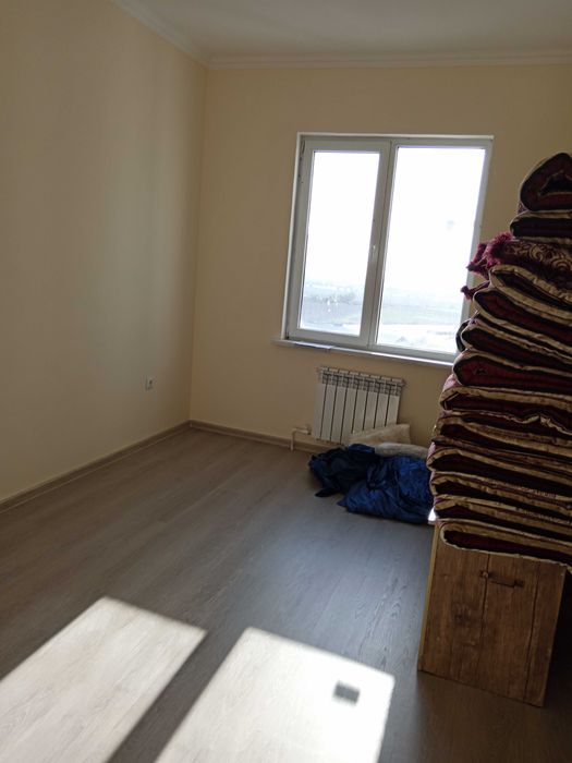 Motrid domlari qorasuv