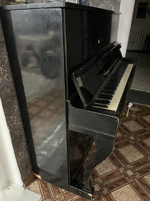 Продам пивнино черного цвета