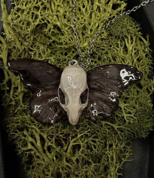 Медальон с пеперуда, череп от мишка и стоманена верижка!