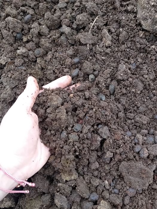 Vând gunoi bio ecologic vechi / îngrășământ natura