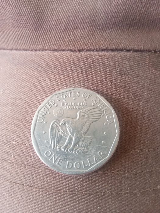 Bir dollar tanga 1979