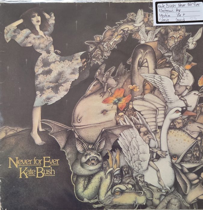 Viniluri cu muzică bună in stare perfecta