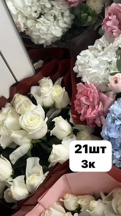 21-шт. Свежыееее