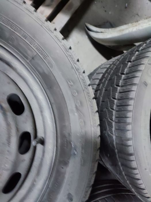 Roti iarna ..       .