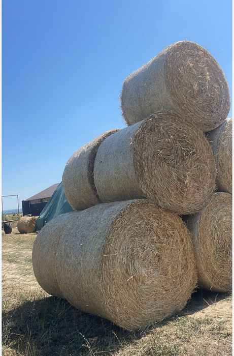Baloti de paie mari presati ARGES