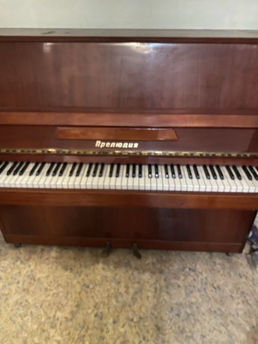 Отдам бесплатно. Самовывоз