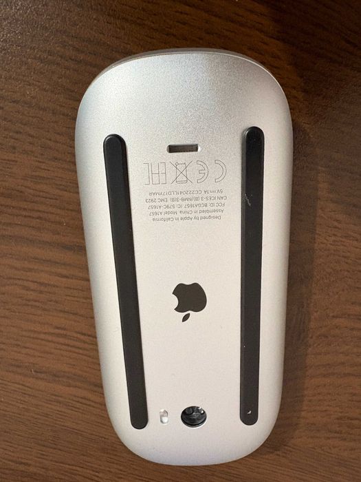 Apple Wireless Magic Mouse 2